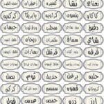 استيكر بهارات