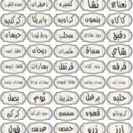 استيكر بهارات